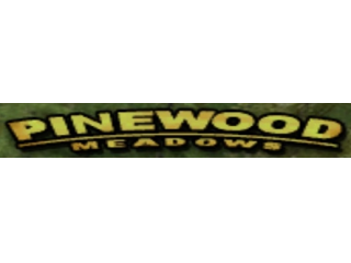 Pinewood Qualifier