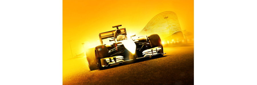 F1 2014 : les réglages optimaux