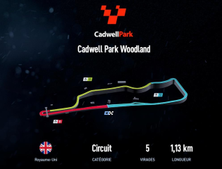 Cadwell Park Woodland