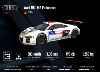 R8 LMS Endurance 2015