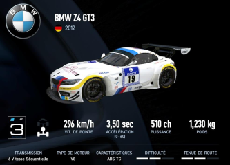 Z4 GT3 (2012)