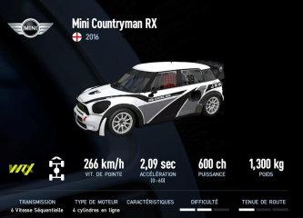 Countryman RX